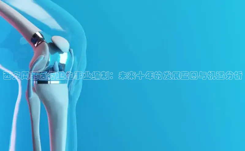 Mksport体育app官网入口