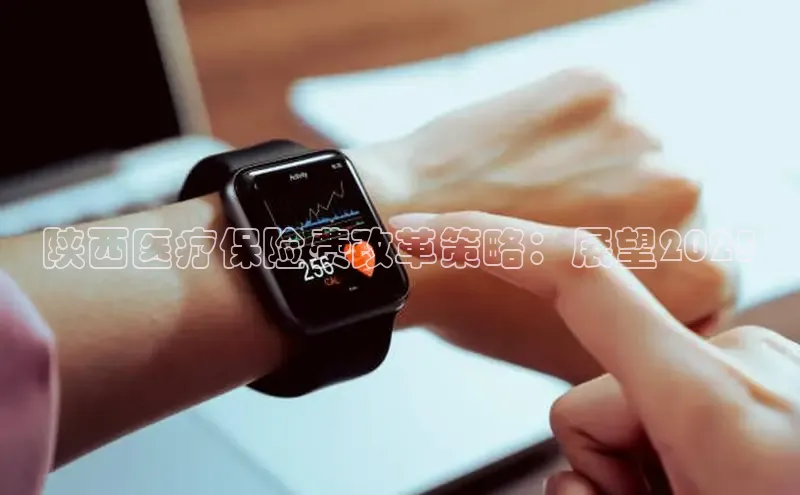 mk体育官网入口