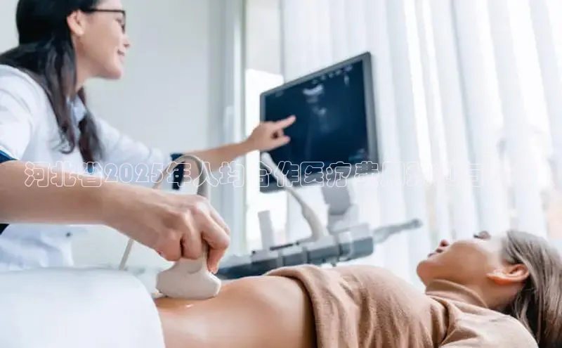 MK体育APP下载地址